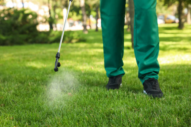 Flea Control Services in Genoa, OH