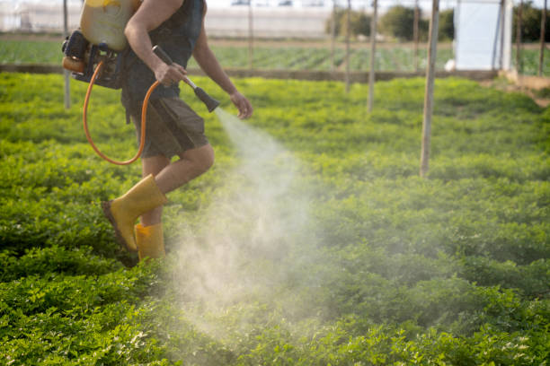 Best Pest Prevention Services  in Genoa, OH