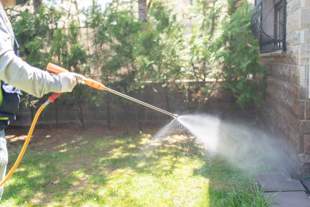 Best Wasp Removal Services  in Genoa, OH