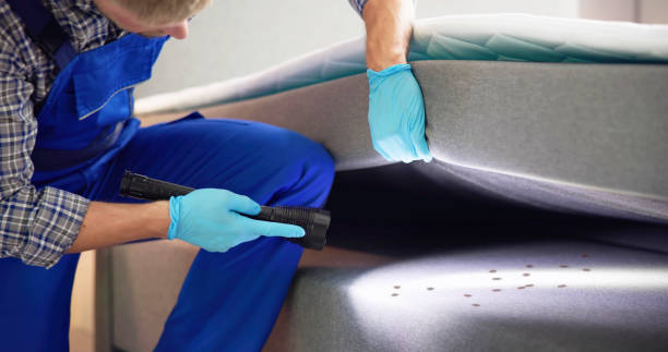 Best Affordable Pest Control Services  in Genoa, OH