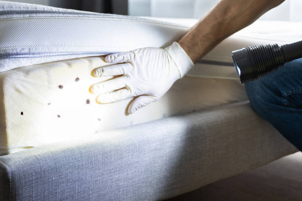 Best Residential Pest Control  in Genoa, OH