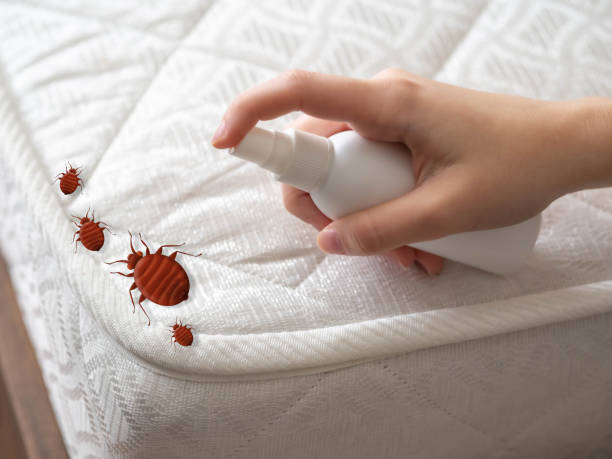 Best Best Pest Control Companies  in Genoa, OH