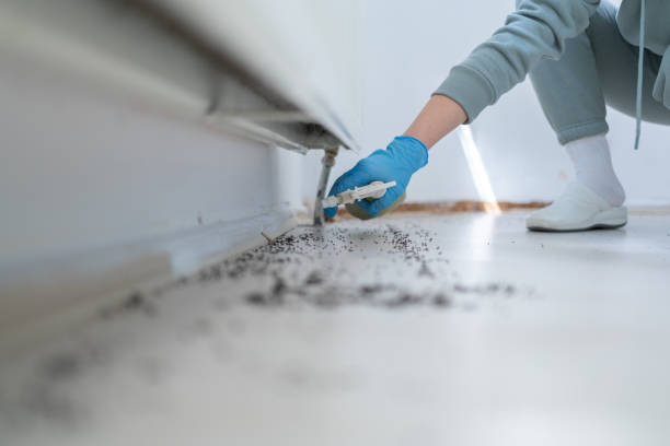 Best Pest Control for Restaurants  in Genoa, OH